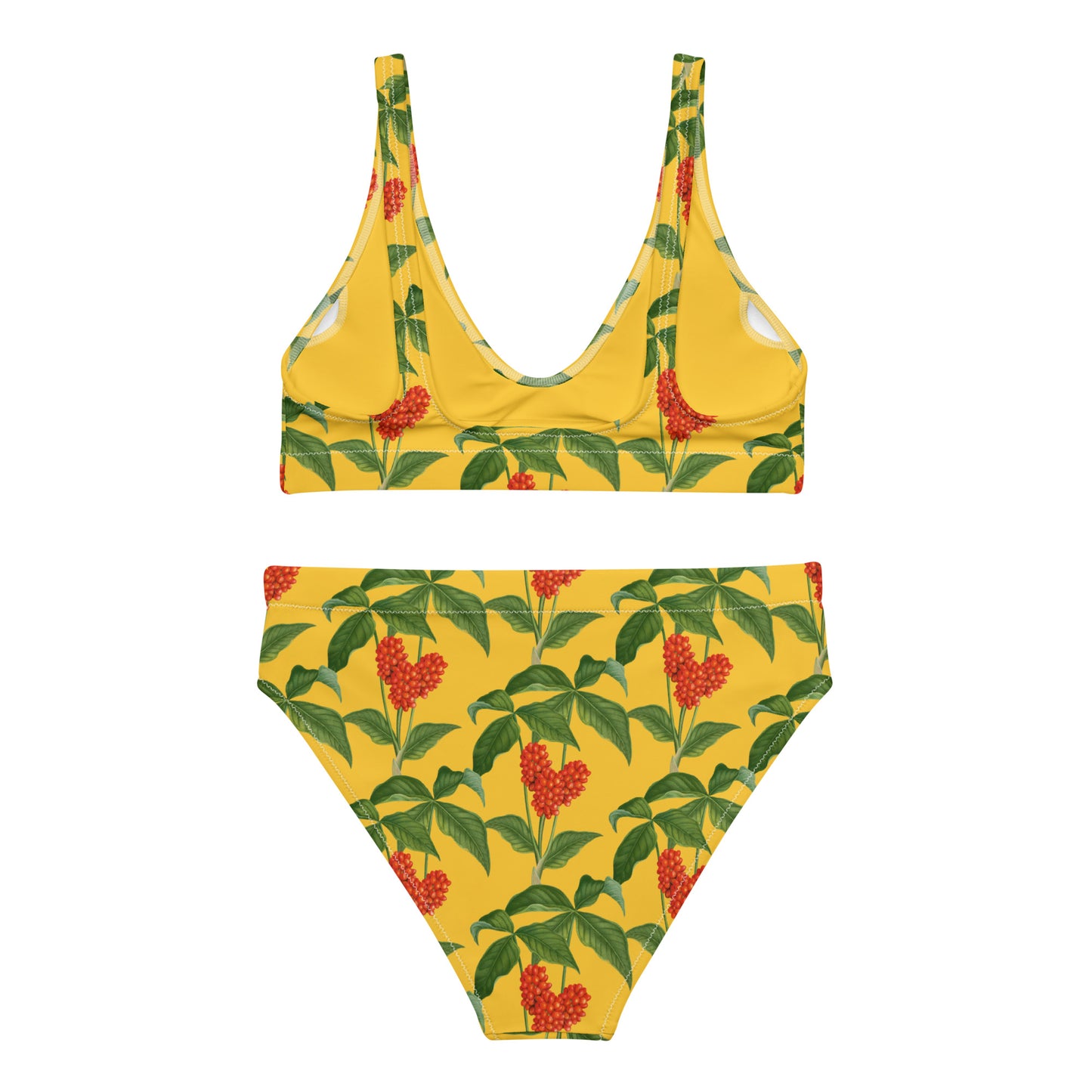 Trinidad Recycled High-Waisted bikini