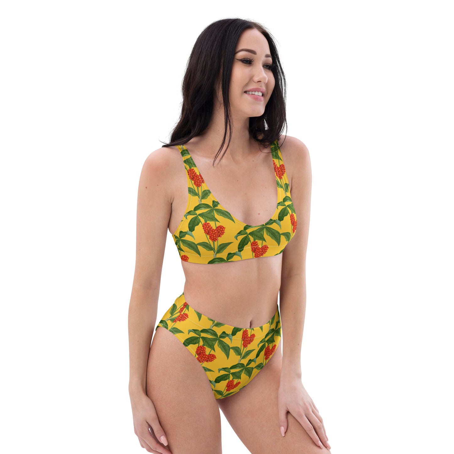 Trinidad Recycled High-Waisted bikini