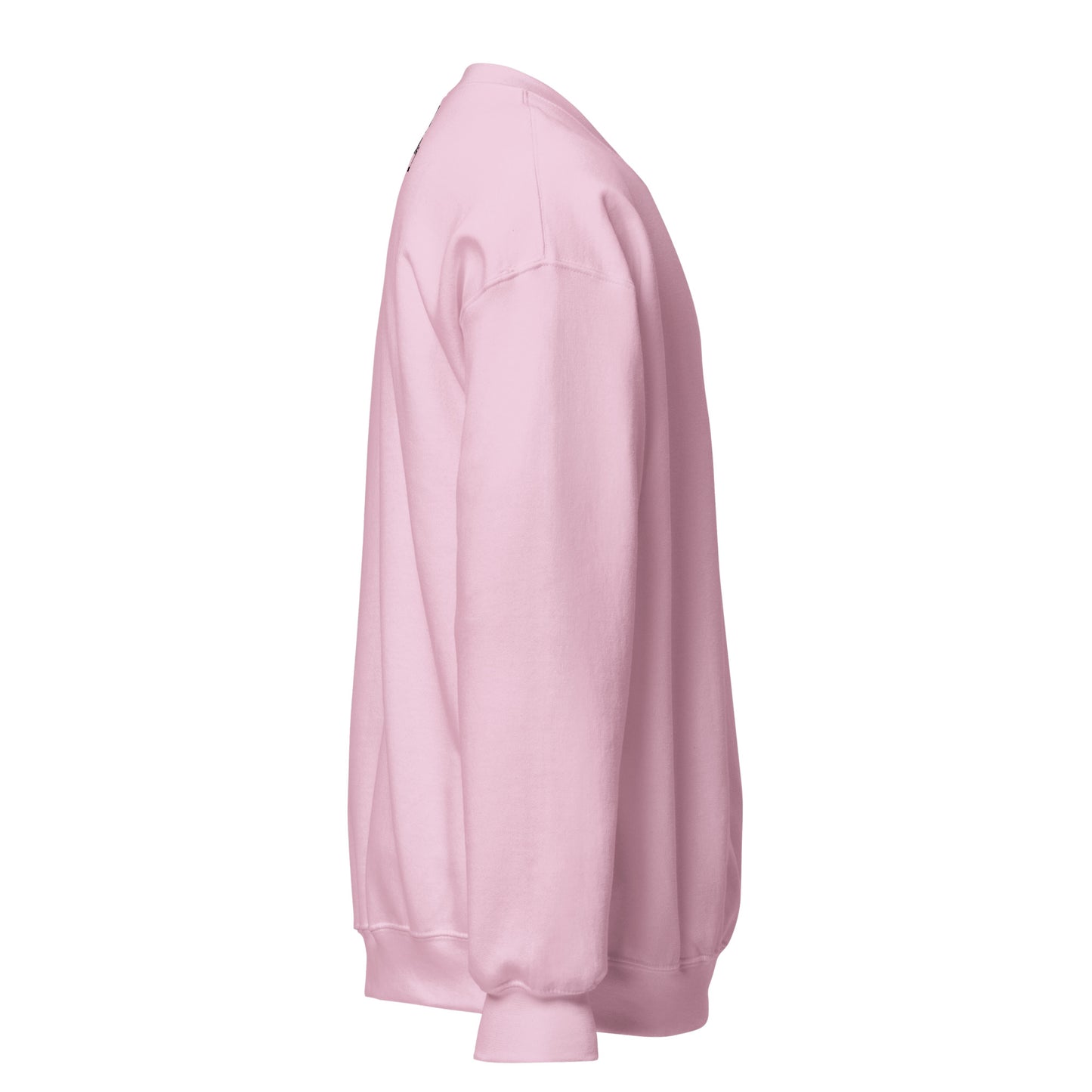 Sam Unisex Sweatshirt