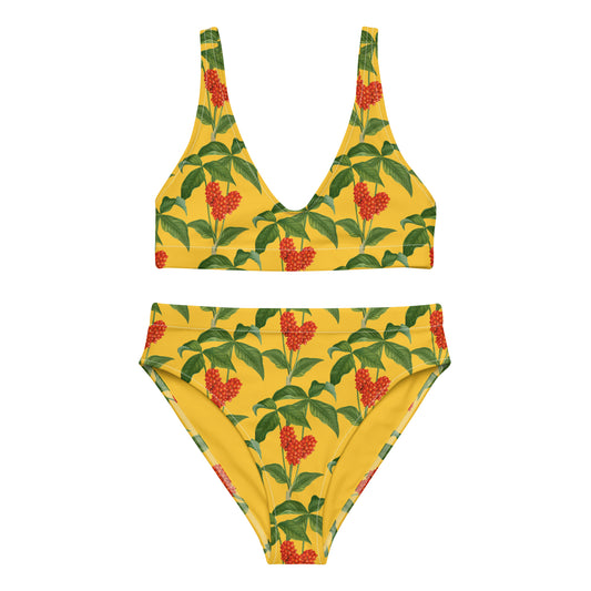 Trinidad Recycled High-Waisted bikini