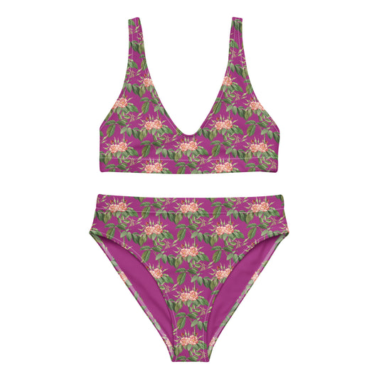 Bimini Recycled High-Waisted Bikini