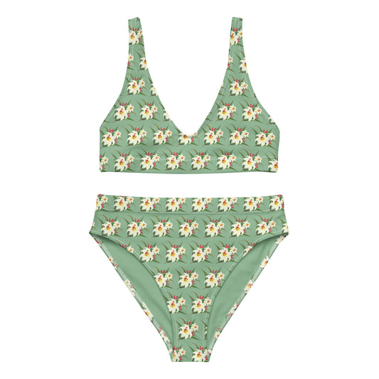 Kauai Recycled High-Waisted Bikini